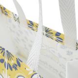porta gelato take away eco food packaging shopper manici